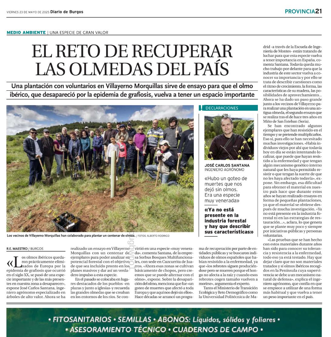 Voluntariado para Recuperar el Olmo Ibérico